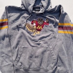 Campus Heritage Gray Hoodie with Mascot and Stripes